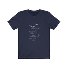 Load image into Gallery viewer, Whale t-shirt | humpback | blue | sperm | marine mammals | wildlife | ocean | unisex